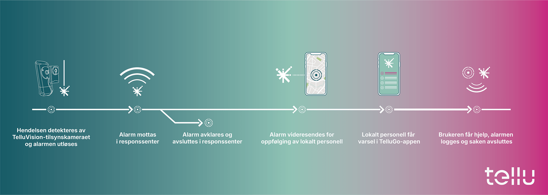 TelluVision workflow TelluVision workflow